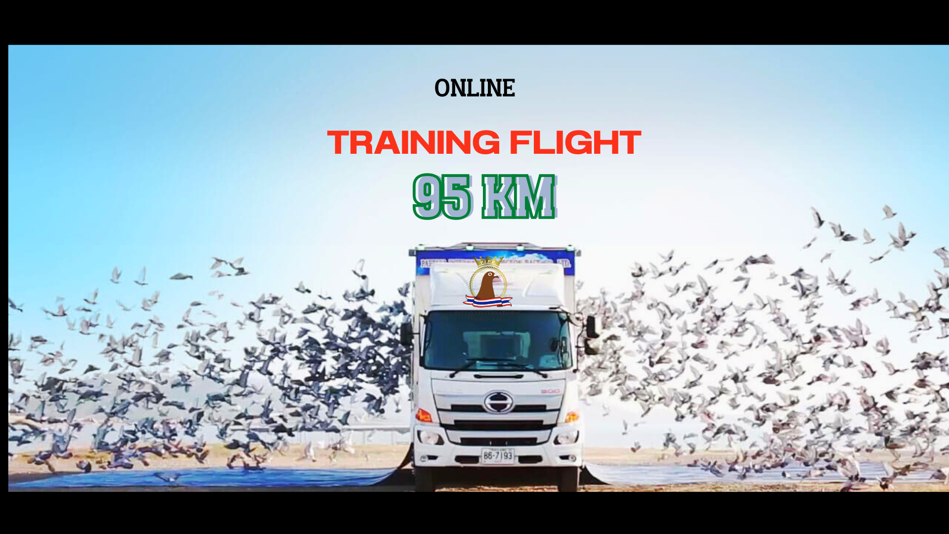 Training Flight 95km.